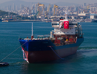 Şirkete ait gemiler inşaa halindedir.